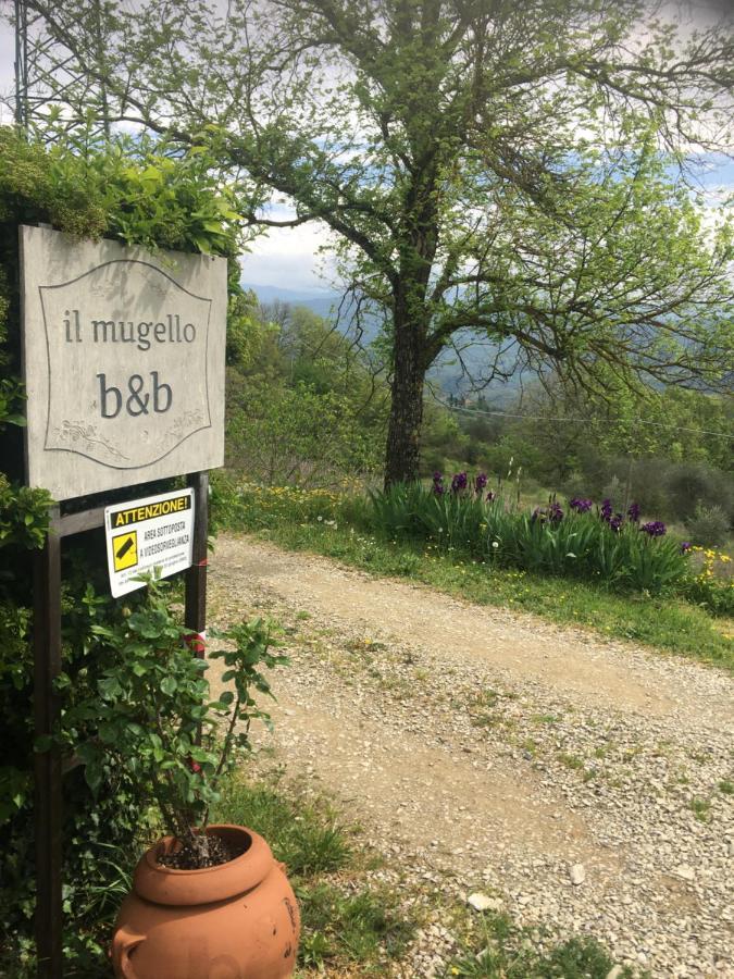 Il Mugello B&B Віккьо Екстер'єр фото